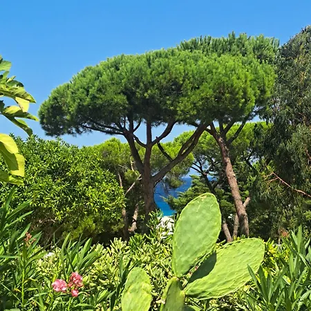 De Charme En Bord De