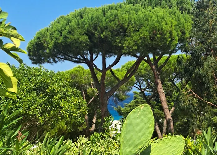 De Charme En Bord De